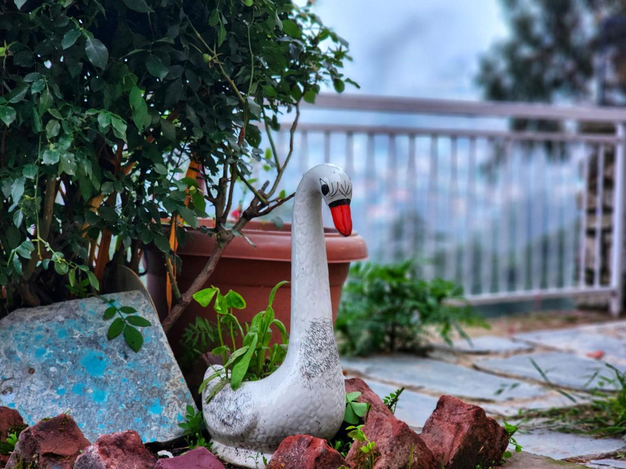 Aaram Baagh Simla Apartment Bagian luar foto